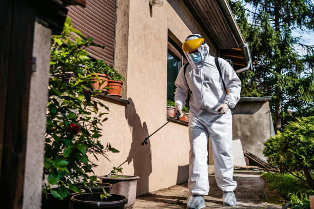Best Rat Extermination Near Me  in Cloverleaf, TX