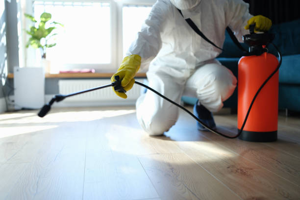 Best Affordable Pest Control Services  in Cloverleaf, TX