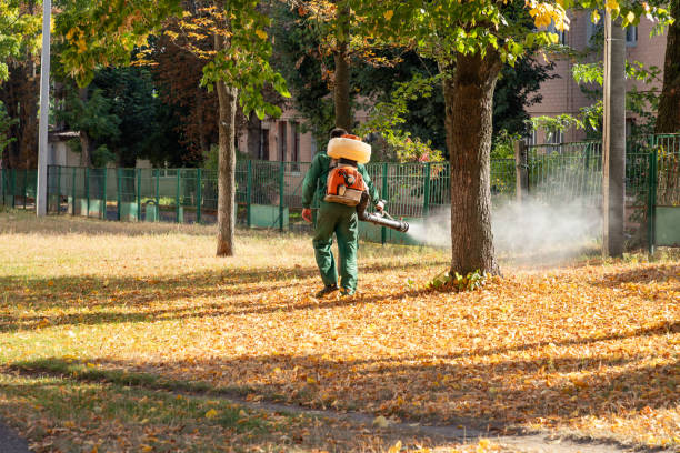 Best Exterminator Services  in Cloverleaf, TX